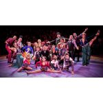 Circo Zanni em Ribeir&atilde;o Preto-SP
